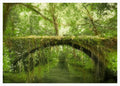 Forest Bridge Pastel Giclée Print